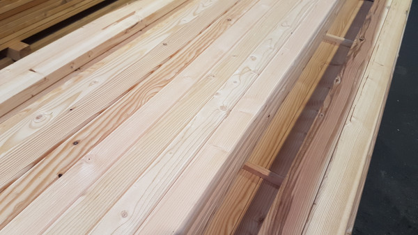 kanad. Lärche, HS 301 geh. Latte mit 4 kleinen Fasen